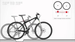 Animation 29quot vs 26quot Mountainbike [upl. by Dusa388]