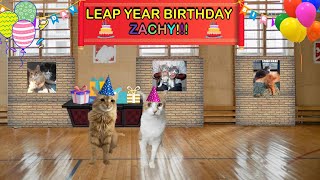 CATS EYE WITNESS NEWS  LEAP YEAR BIRTHDAY PARTY [upl. by Enileme]