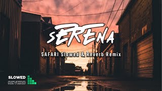 Serena  Safari  hakan akkus remix  slowed amp reverb  Lyrics [upl. by Wilfreda]