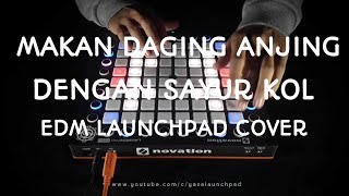 MAKAN DAGING ANJING DENGAN SAYUR KOL EDMLAUNCHPAD COVERUNIPAD [upl. by Aiblis]