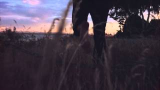 Harrison Brome  Midnight Island Official Video [upl. by Nahgiem]