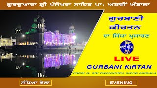 LIVE  Gurdwara Sri Panjokhra Sahib P 8Vi Ambala  Gurbani Kirtan  25 November 2024 Evening [upl. by Hurley]