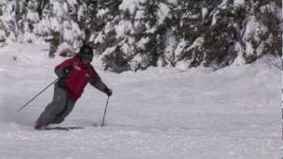 CANSI Presents Skiing Standards  Telemark [upl. by Alcott]