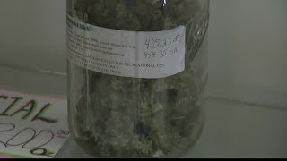 Some Montana medical marijuana providers are raising concerns over new rules [upl. by Jacobba191]