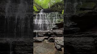 One of our favorite hiking adventures in Tennessee is Machine Falls in Tullahoma TN [upl. by Alage745]