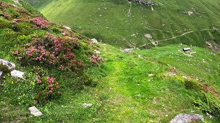 E Mountainbike Tour Alp Anarosa [upl. by Nitsirk]