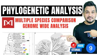 How to perform Phylogenetic analysis using MEGA 11 software [upl. by Nidla]