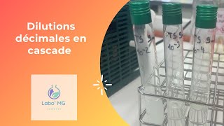 Microbiologie  Dilutions décimales en cascade [upl. by Adolpho]