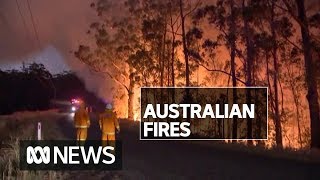 NSW and Victoria firefighters residents brace for night of battling damaging fires  ABC News [upl. by Main]