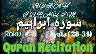 014Surah Ibrahim سورہ ابراہیم  Raku  5  Tilawat  Quran  Translation [upl. by Margery]