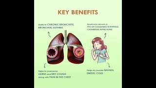 Homeopathic medicine for cold and cough  Dr Reckeweg R9 Cough Drops [upl. by Kendy]