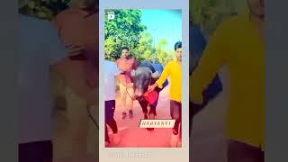 Khet Me Jhotta Official Video Uttar Kumar amp Ruba Khan  Haryanvi Song viral tranding video [upl. by Gibson]