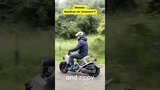 Honda Ruckus or Zoomer NPS50 [upl. by Sioled881]