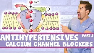 Antihypertensive Calcium Channel Blockers Part 2 [upl. by Markson790]