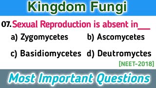 fungi mcq  classification of fungi  biological classification mcq [upl. by Machutte]