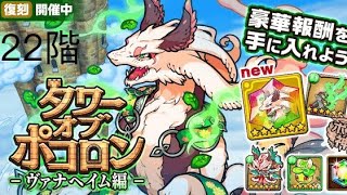 【ポコダン】波可龍迷宮  タワポコヴァナヘイム編22階 [upl. by Nerrag688]