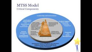 MTSS Tiered Academic Instruction Literacy Overview Video [upl. by Pedersen]