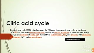 Citric acid cycle  krebs cycle  detailed explanationhindi notes English [upl. by Edlyn324]