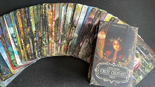 Limited edition Forest Creatures tarot  Tarocco Studio [upl. by Ahsirek]