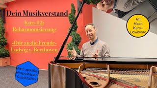 Dein Musikverstand 12🎼🧠 Die Freude am Harmonisieren Ein Kleinod für deinen Musikverstand [upl. by Ruthy]