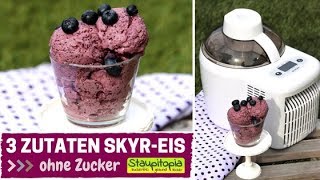 3 Zutaten Skyr Eis ohne Zucker  Schnelles Fruchteis ohne Zucker mit der Ibywind YF700 Eismaschine [upl. by Martguerita]