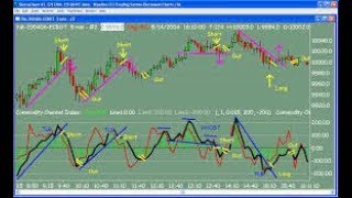 My setup on the traditional Woodies CCI was CCI 14 CC 6 and 34EMA [upl. by Lalad721]