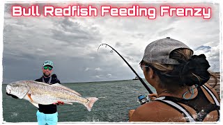 Bull REDS EVERYWHERE at the Jetty [upl. by Nnayhs]