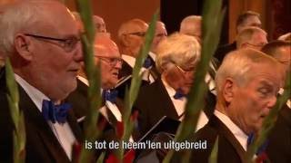 Nederland Zingt Psalm 108 Mijn hart o hemelmajesteit [upl. by Ynej]