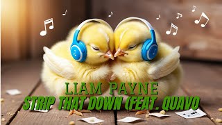 Liam Payne  Strip That Down feat Quavo  Sub Español [upl. by Holna]