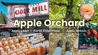 Cozy Apple Orchard  Apple Cider amp Donuts  Aesthetic Fall Adventure [upl. by Ateval]