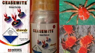 INDOFIL CEASEMITE INSECTICIDE propargite 42 Hexythiazox 2 EC Acaricide मकड़ी नाशक Indofarming [upl. by Cirnek]