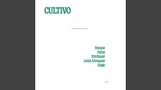 Cultivo [upl. by Timmie]