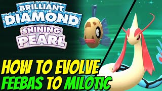 How to evolve FEEBAS to MILOTIC in Pokemon Brilliant Diamond and Shining Pearl [upl. by Dwaine]