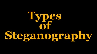 Types of Steganography [upl. by Arrotal984]