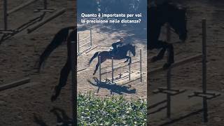 Percorso di allenamento miglioriamo insieme 🐎 horse equitazione equestrian [upl. by Anuaik]