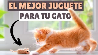 ¿Cuál es el MEJOR JUGUETE para gatos [upl. by Xed]