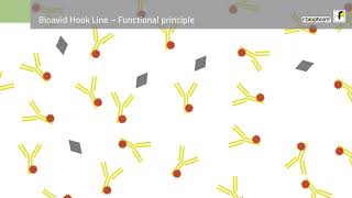 Bioavid Lateral incl Hook Line Functional Principle [upl. by Ojibbob]