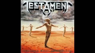 Testament  The Ballad [upl. by Socram]