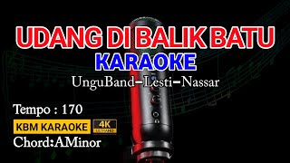 UDANG DI BALIK BATU KARAOKE Ungu Band Lesti Nassar  DANGDUT [upl. by Maleeny508]