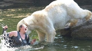 10 People who Fell into Animal Enclosures at Zoos [upl. by Ariad575]