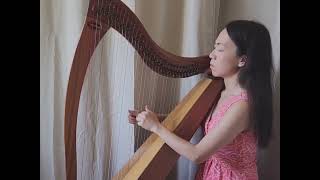 Medieval Flair  Holger Schäfer  First Song on Lever Harp [upl. by Aital]