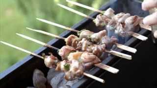 Yakitori Chicken 焼き鳥 Recipe  English Subtitles [upl. by Meneau283]