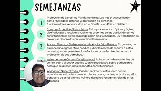 Procesos constitucionales de hábeas corpus hábeas data y amparo [upl. by Stacee657]