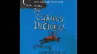 The Curious Incident of the Dog in the Night Audiobook Part 45 Mark Haddon [upl. by Wescott768]