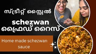 29 Schezwan Chicken Fried Rice  Street Style  Chicken 65  Schezwan Sauce Recipe [upl. by Lirva760]