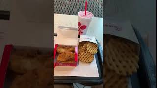 Abelard the Traveling Hedgehog’s chow time at Chick Fil A [upl. by Oiliduab]