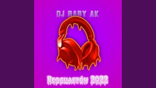 Reggaetón 2022  Dj Baby AK [upl. by Piscatelli655]