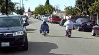 Minibike vs Pocket Bike [upl. by Lynn]