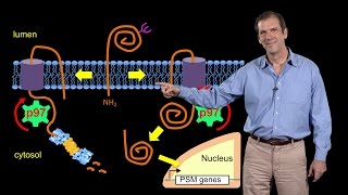 Deshaies Amgen 3 Targeting the ubiquitinproteasome system in cancer [upl. by Landon282]