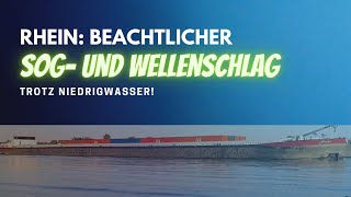 Rhein Beachtlicher Sog und Schwell trotz Niedrigwasser [upl. by Leyes]